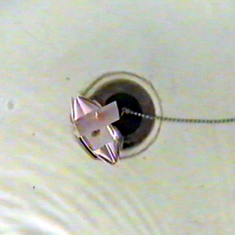 Initial View